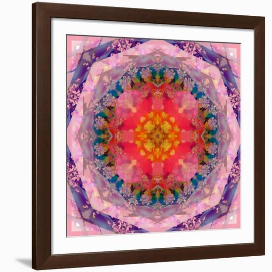 Mandala of Flower Photographies-Alaya Gadeh-Framed Photographic Print