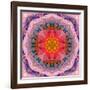 Mandala of Flower Photographies-Alaya Gadeh-Framed Photographic Print