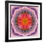 Mandala of Flower Photographies-Alaya Gadeh-Framed Photographic Print