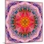 Mandala of Flower Photographies-Alaya Gadeh-Mounted Photographic Print