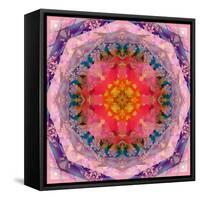 Mandala of Flower Photographies-Alaya Gadeh-Framed Stretched Canvas