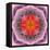 Mandala of Flower Photographies-Alaya Gadeh-Framed Stretched Canvas