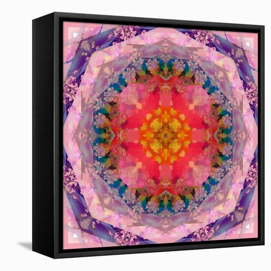 Mandala of Flower Photographies-Alaya Gadeh-Framed Stretched Canvas