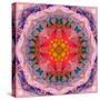 Mandala of Flower Photographies-Alaya Gadeh-Stretched Canvas