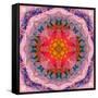 Mandala of Flower Photographies-Alaya Gadeh-Framed Stretched Canvas