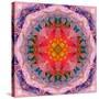 Mandala of Flower Photographies-Alaya Gadeh-Stretched Canvas