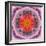 Mandala of Flower Photographies-Alaya Gadeh-Framed Photographic Print