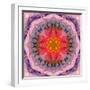 Mandala of Flower Photographies-Alaya Gadeh-Framed Photographic Print