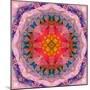 Mandala of Flower Photographies-Alaya Gadeh-Mounted Photographic Print