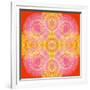 Mandala of Flower Photographies-Alaya Gadeh-Framed Photographic Print