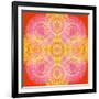 Mandala of Flower Photographies-Alaya Gadeh-Framed Photographic Print