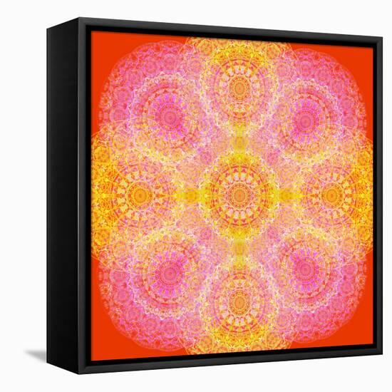 Mandala of Flower Photographies-Alaya Gadeh-Framed Stretched Canvas