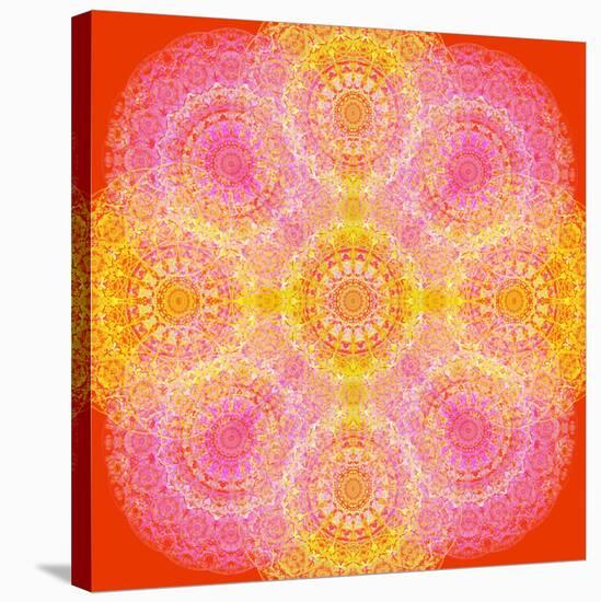 Mandala of Flower Photographies-Alaya Gadeh-Stretched Canvas