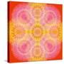 Mandala of Flower Photographies-Alaya Gadeh-Stretched Canvas