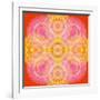 Mandala of Flower Photographies-Alaya Gadeh-Framed Photographic Print