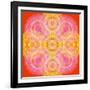 Mandala of Flower Photographies-Alaya Gadeh-Framed Photographic Print