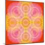 Mandala of Flower Photographies-Alaya Gadeh-Mounted Photographic Print