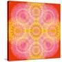 Mandala of Flower Photographies-Alaya Gadeh-Stretched Canvas