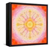 Mandala of Flower Photographies-Alaya Gadeh-Framed Stretched Canvas