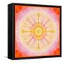 Mandala of Flower Photographies-Alaya Gadeh-Framed Stretched Canvas