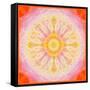 Mandala of Flower Photographies-Alaya Gadeh-Framed Stretched Canvas