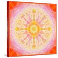 Mandala of Flower Photographies-Alaya Gadeh-Stretched Canvas