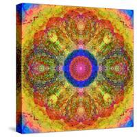 Mandala of Flower Photographies-Alaya Gadeh-Stretched Canvas