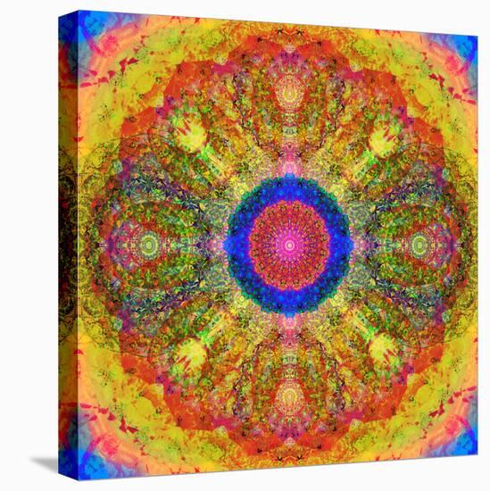 Mandala of Flower Photographies-Alaya Gadeh-Stretched Canvas