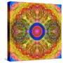 Mandala of Flower Photographies-Alaya Gadeh-Stretched Canvas