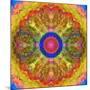 Mandala of Flower Photographies-Alaya Gadeh-Mounted Photographic Print