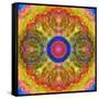 Mandala of Flower Photographies-Alaya Gadeh-Framed Stretched Canvas