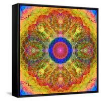 Mandala of Flower Photographies-Alaya Gadeh-Framed Stretched Canvas