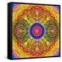 Mandala of Flower Photographies-Alaya Gadeh-Framed Stretched Canvas