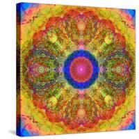 Mandala of Flower Photographies-Alaya Gadeh-Stretched Canvas