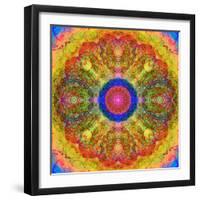 Mandala of Flower Photographies-Alaya Gadeh-Framed Photographic Print