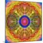 Mandala of Flower Photographies-Alaya Gadeh-Mounted Photographic Print