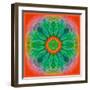 Mandala of Flower Photographies-Alaya Gadeh-Framed Photographic Print