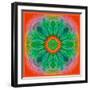 Mandala of Flower Photographies-Alaya Gadeh-Framed Photographic Print