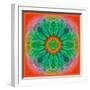 Mandala of Flower Photographies-Alaya Gadeh-Framed Photographic Print