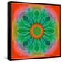 Mandala of Flower Photographies-Alaya Gadeh-Framed Stretched Canvas