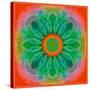 Mandala of Flower Photographies-Alaya Gadeh-Stretched Canvas