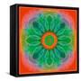 Mandala of Flower Photographies-Alaya Gadeh-Framed Stretched Canvas