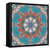 Mandala of Flower Photographies-Alaya Gadeh-Framed Stretched Canvas