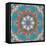 Mandala of Flower Photographies-Alaya Gadeh-Framed Stretched Canvas