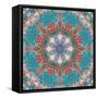 Mandala of Flower Photographies-Alaya Gadeh-Framed Stretched Canvas