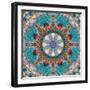 Mandala of Flower Photographies-Alaya Gadeh-Framed Photographic Print