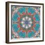 Mandala of Flower Photographies-Alaya Gadeh-Framed Photographic Print