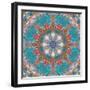 Mandala of Flower Photographies-Alaya Gadeh-Framed Photographic Print