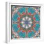 Mandala of Flower Photographies-Alaya Gadeh-Framed Photographic Print