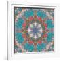 Mandala of Flower Photographies-Alaya Gadeh-Framed Photographic Print